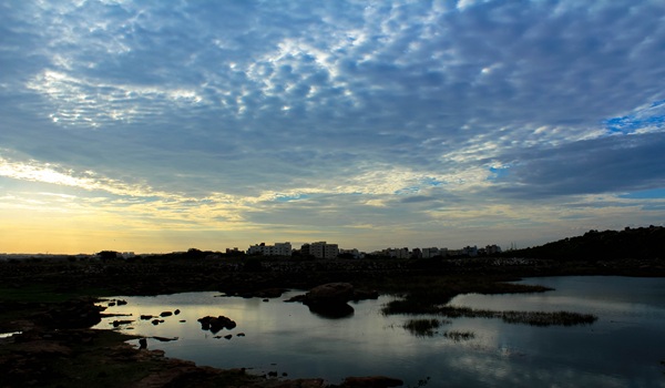 Featured Image of Ameenpur Lake — Bird Watching Spot