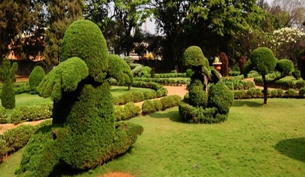 Featured Image of Hyderabad Botanical Garden — Green and Calm