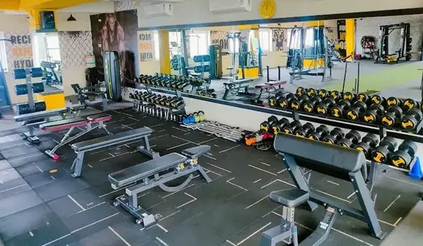 Featured Image of Best Gyms, Clinics & Daily Essentials Around Tellapur