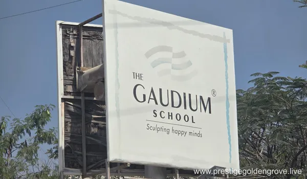 A large white billboard for The Gaudium School featuring the tagline 