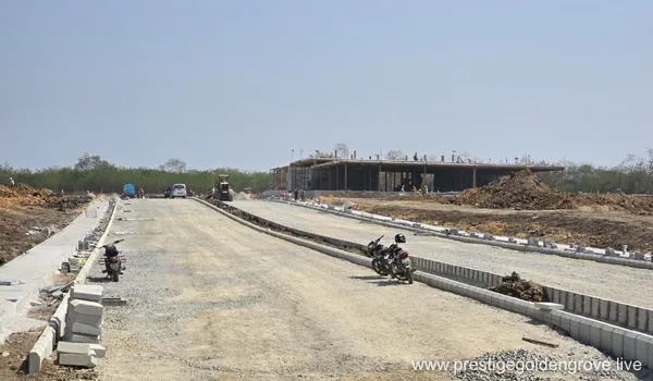 A wide, paved asphalt road with a checkered curb and a row of trees, showcasing the main access route to the Prestige Golden Grove project under a clear sky.