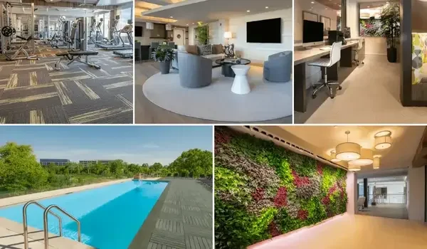 Featured Image of What Amenities Should I Look for in an Apartment Complex?