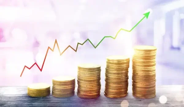 Featured Image of Why is Velimela expensive?